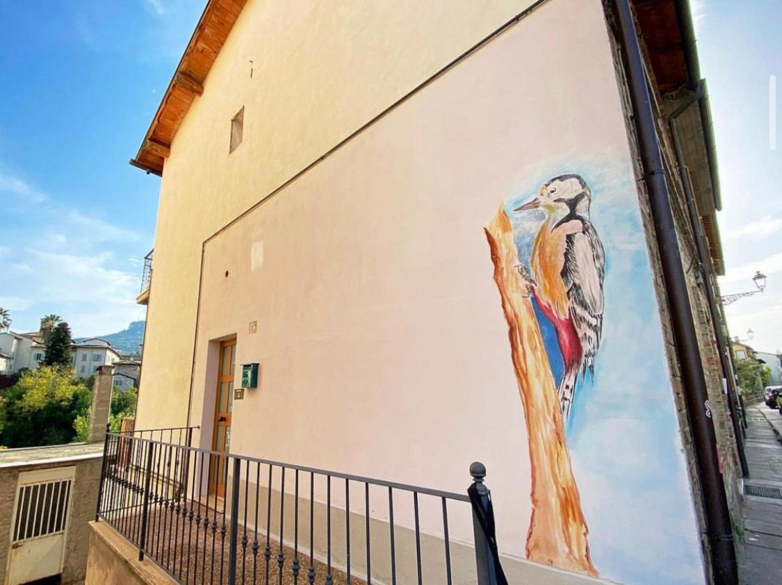 Mini Appartamento "Il Nido Del Picchio" Ascoli Piceno Exteriér fotografie