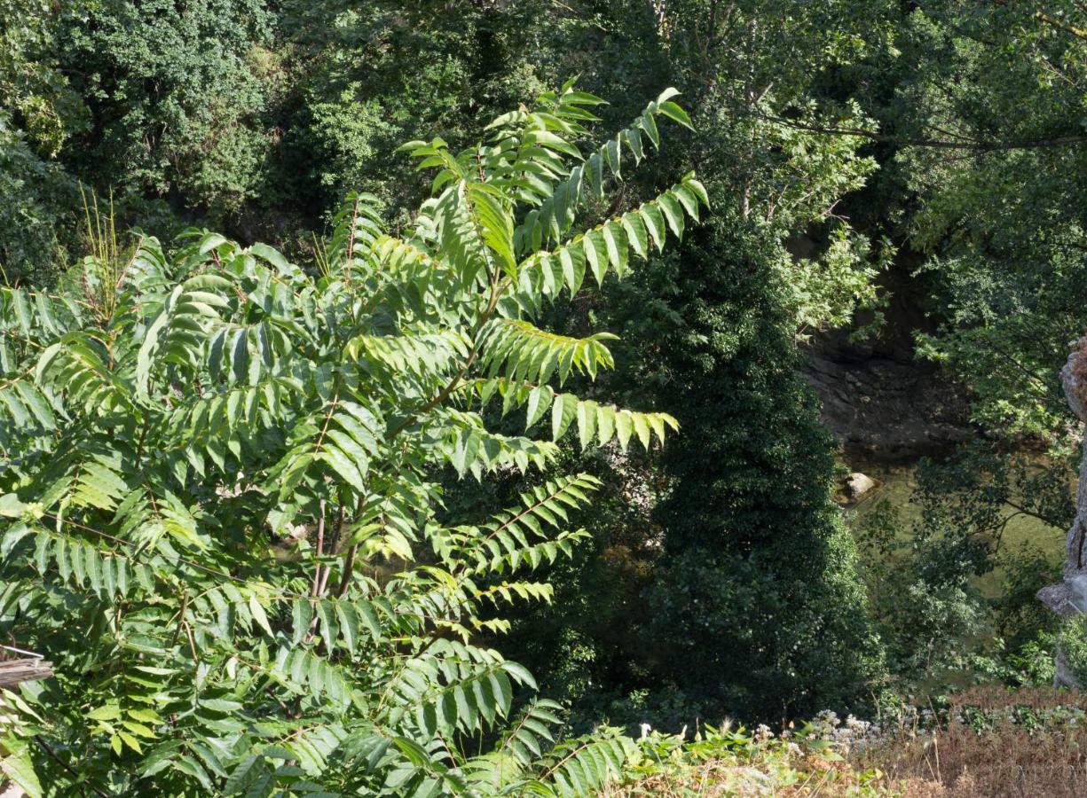 Mini Appartamento "Il Nido Del Picchio" Ascoli Piceno Exteriér fotografie